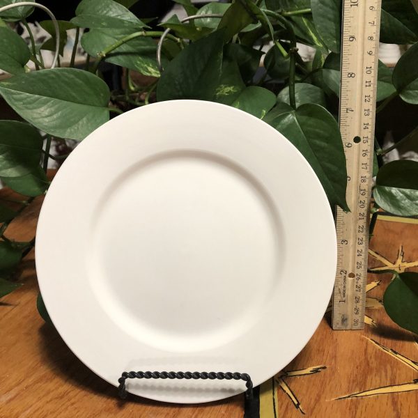 Rimmed Salad  8" Plate