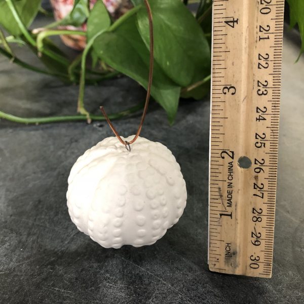 Sea Urchin Ornament