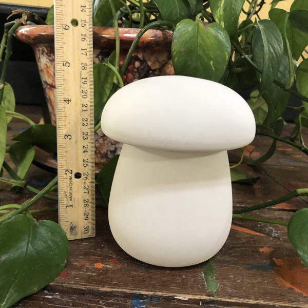 Mushroom Box