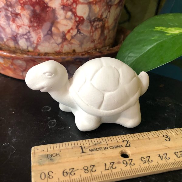 Small Turtle